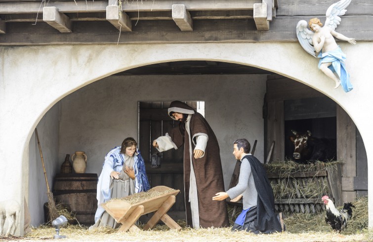 presepe 2015 piazza  san pietro