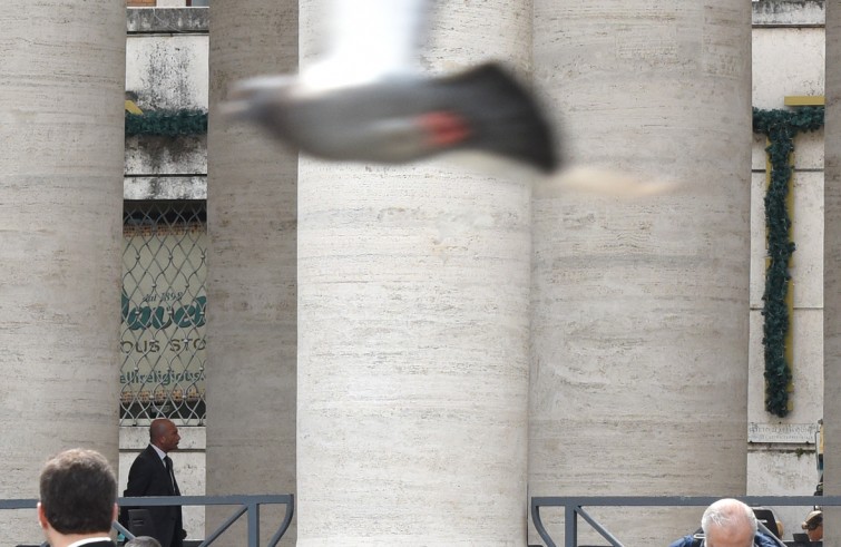 Vaticano, 23 aprile 2016: Giubileo dei Ragazzi - Confessioni Papa Francesco in Piazza San Pietro