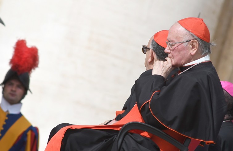 Piazza San Pietro, 7 settembre 2016: Udienza generale Papa Francesco - cardinale